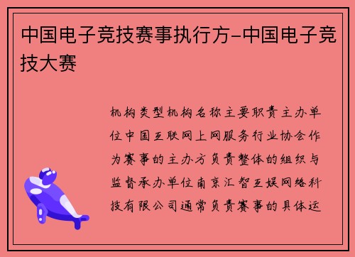 中国电子竞技赛事执行方-中国电子竞技大赛